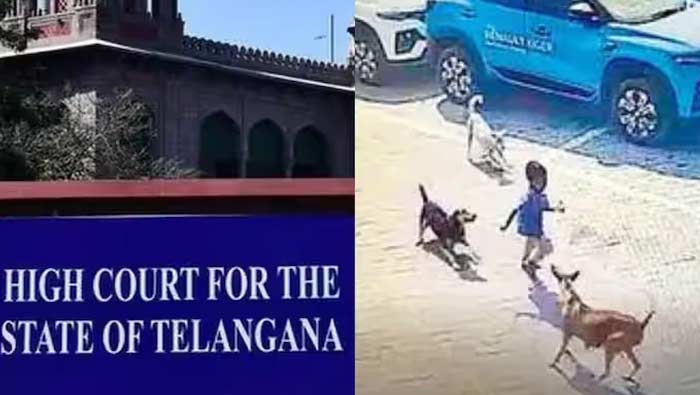High Court : వీధి కుక్కల దాడి ఘటనపై హైకోర్టు సీరియస్
