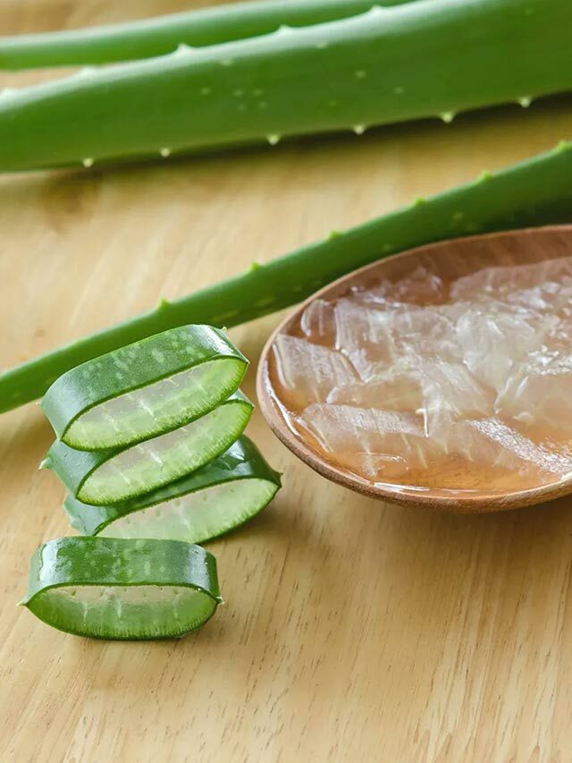 Aloe Vera: అలోవెరాతో అన్ని అద్భుత ప్రయోజనాలే..!