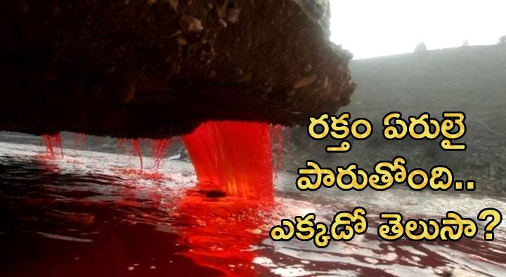 Blood Falls: రక్తం ఏరులై పారుతోంది.. ఎక్కడో తెలుసా ?