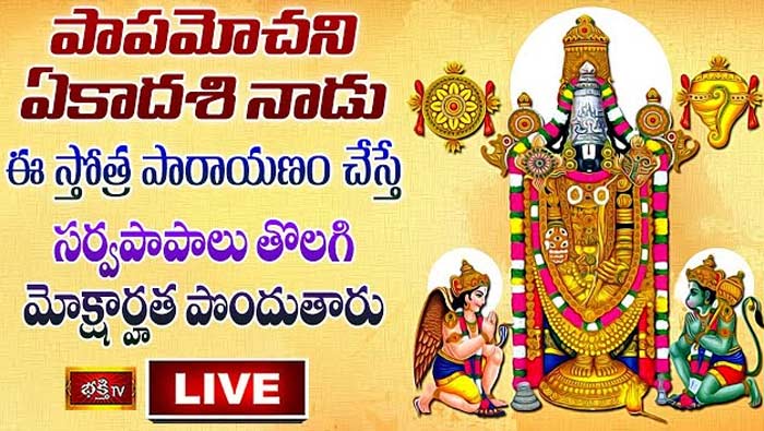 Sri Venkateswara Swamy Stotra Parayanam: పాపమోచని ఏకాదశి నాడు ఈ స్తోత్ర పారాయణం చేస్తే సర్వపాపాలు తొలగిపోతాయి..