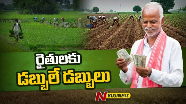 Farmers Income: ఈ ఏడాది అన్నదాతల పంట పండినట్లే!!