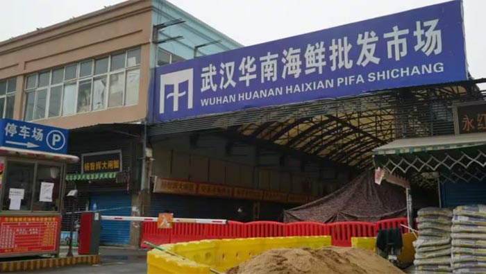 Raccoon Dogs at Wuhan Market: రాకూన్ కుక్కలే కరోనాకి దారి తీశాయా?