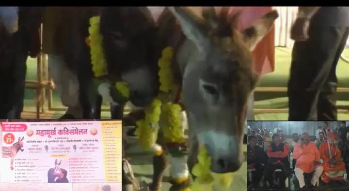 Donkey Chief Guest : మహా కవి సమ్మేళనానికి చీఫ్ గెస్ట్ ఎవరో తెలుసా ?