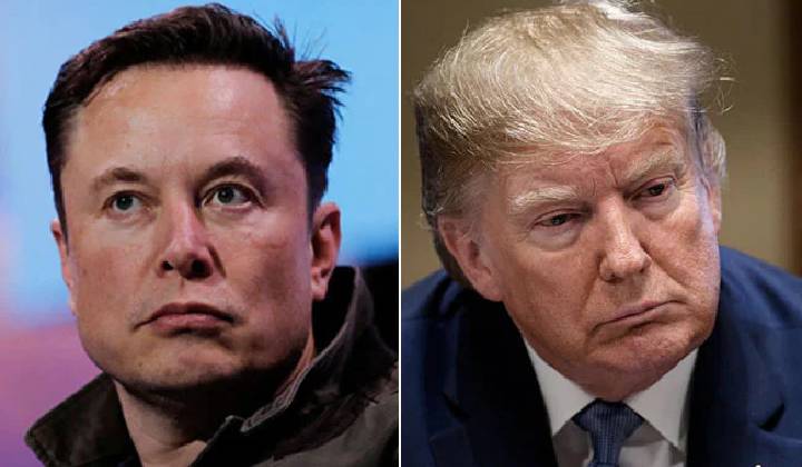 Elon Musk, Trump