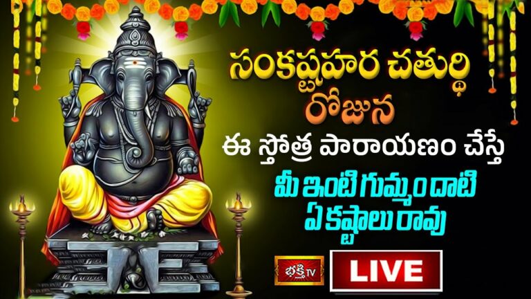 Sankastha Har Chaturdhi Bhakthi Tv Live: సంకష్టహర చతుర్థి నాడు ఈ పూజలు చేస్తే..