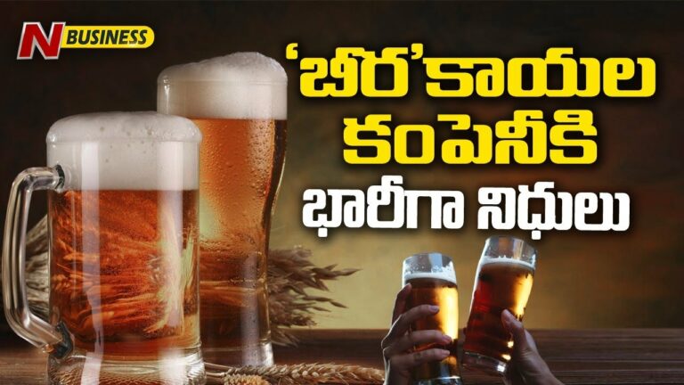 Beer: జపాన్ బ్యాంక్ నుంచి ఫండ్‌రైజ్‌ చేసిన ‘బిరా 91’