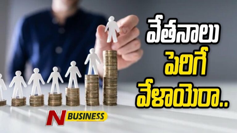 Salary Hike Time: వేతనాలు పెరిగే వేళాయెరా. అయితే.. ఈ టైంలో సంస్థలు ఏం ఆలోచిస్తాయంటే?