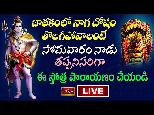 Monday Bhakthi Tv Stothra Parayanam Live: జాతకంలో నాగదోషం తగ్గాలంటే..