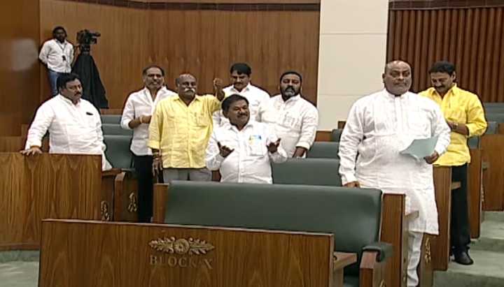 Tdp Mlas