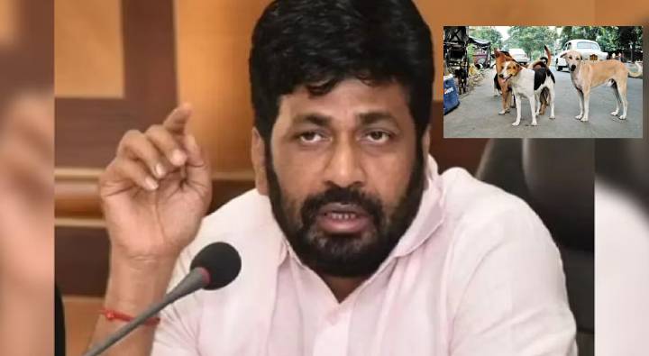 Stray Dogs: అసోంలో కుక్కలకు మంచి డిమాండ్.. రేటు తెలిస్తే షాక్ అవుతారు