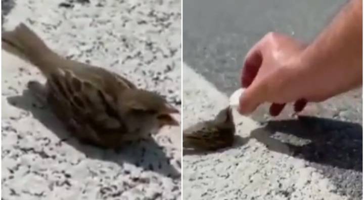 Viral: సాయం చిన్నదైన ఆదర్శం గొప్పది.. ఆచరించాలంటే మనసుండాలి