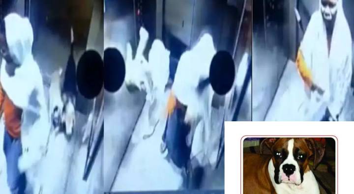 Viral : కుక్కపై మహిళ దాష్టికం.. మండిపడుతున్న జనం