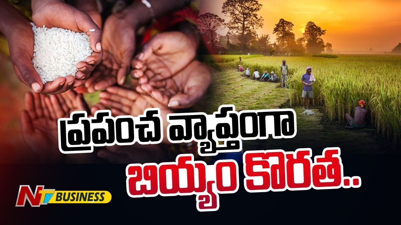 Rice Shortage: ప్రపంచవ్యాప్తంగా బియ్యం కొరత. గడచిన 20 ఏళ్లలో ఎన్నడూ లేనంత..