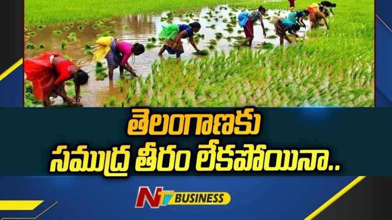 Telangana Exports: తెలంగాణకు సముద్ర తీరం లేకపోయినా..