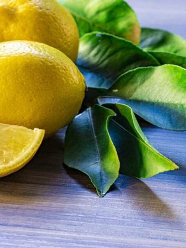 Lemon Leaves: నిమ్మ ఆకులతో ఎన్నో ప్రయోజనాలు.. ఏంటో తెలుసా?