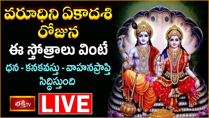 Varuthini Ekadashi: వరూధిని ఏకాదశి రోజు ఈ స్తోత్రాలు వింటే ధన ప్రాప్తి సిద్ధిస్తుంది
