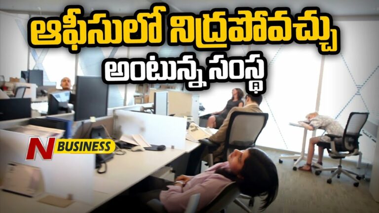Sleeping in Office: నిద్ర కోసం సెలవు కూడా ఇచ్చిన కంపెనీ
