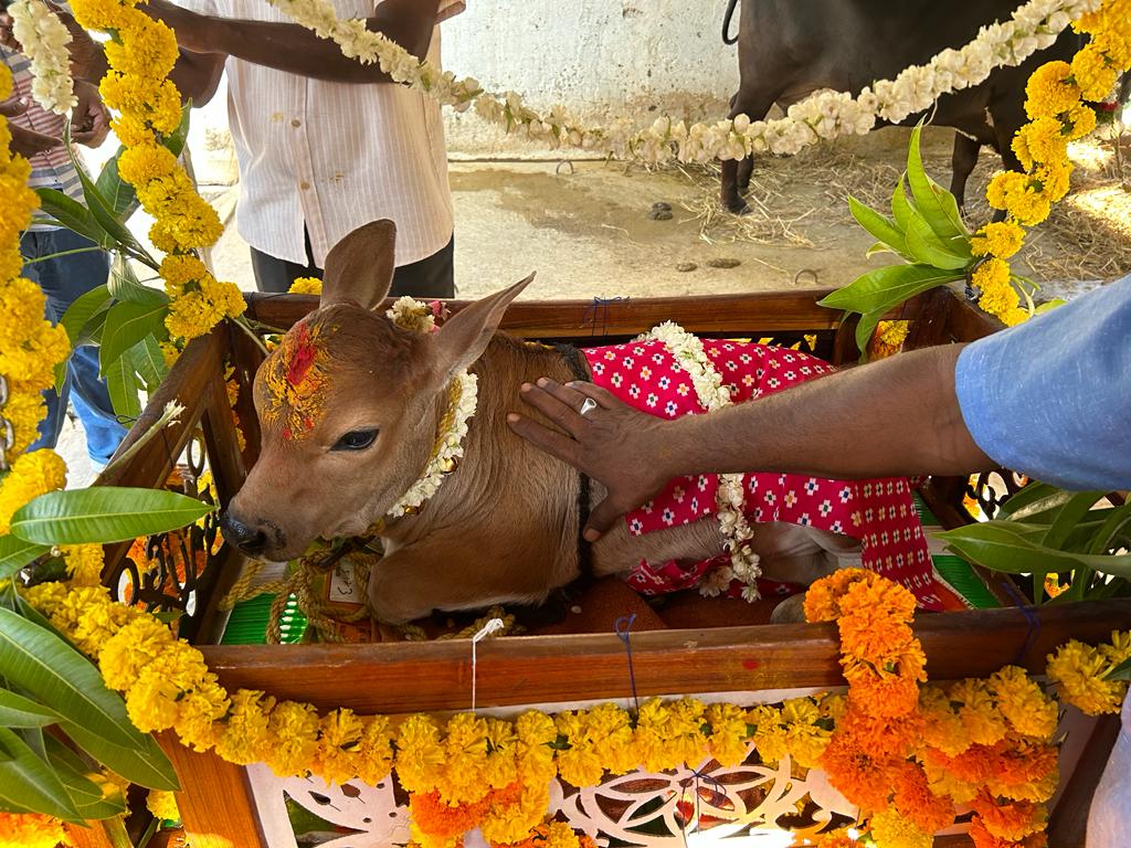 Whatsapp Image 2023 04 14 At 11.59.41 Am