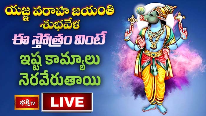 Yagna Varaha Jayanti: యజ్ఞ వరాహ స్తోత్రం వింటే ఇష్ట కామ్యాలు నెరవేరుతాయి