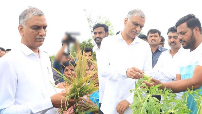 Harish Rao