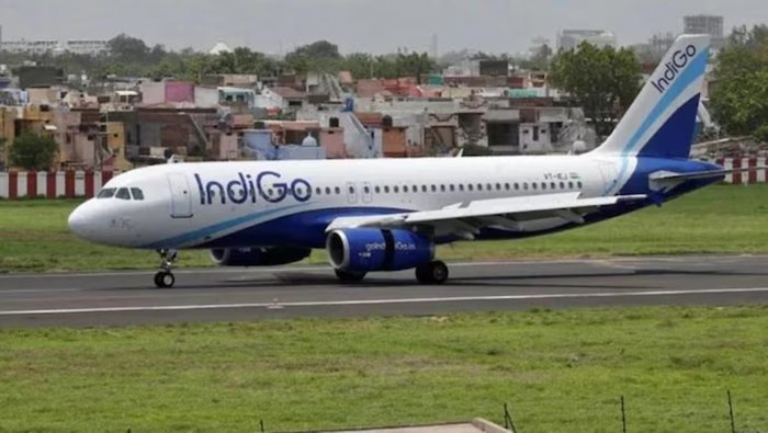 Indigo