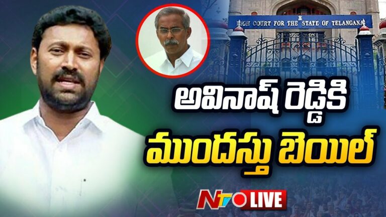 Ys Viveka Case Live: ఎంపీ అవినాష్ రెడ్డికి ముందస్తు బెయిల్