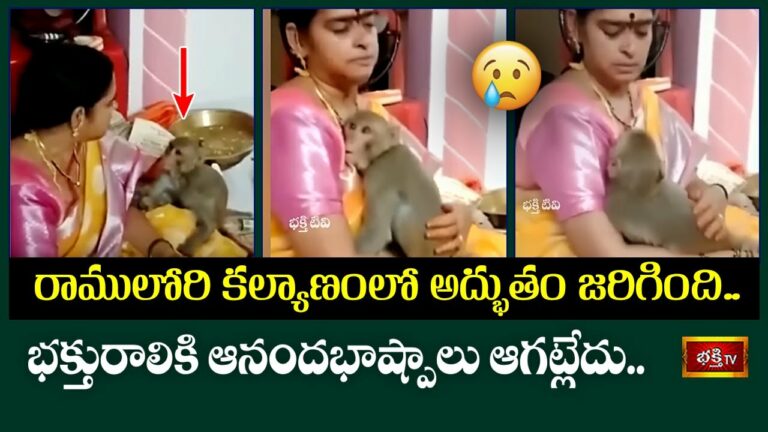 Srirama Navami Wonder: శ్రీరామనవమి వేళ అద్భుతం.. ఆ ఇంట్లో వానరం సందడి