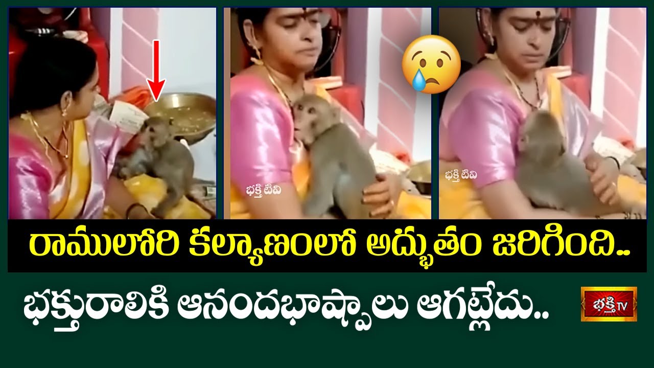 Srirama Navami Wonder: శ్రీరామనవమి వేళ అద్భుతం.. ఆ ఇంట్లో వానరం సందడి