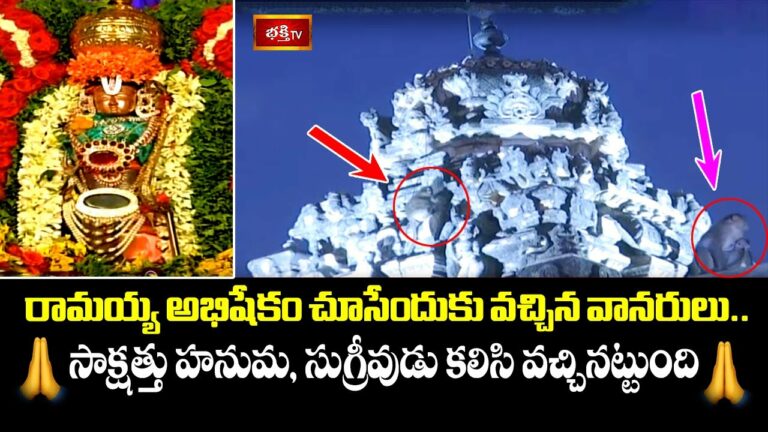 Bhadradri Ramayya Abhisekam: రామయ్య అభిషేకం చూసేందుకు వచ్చిన వానరులు