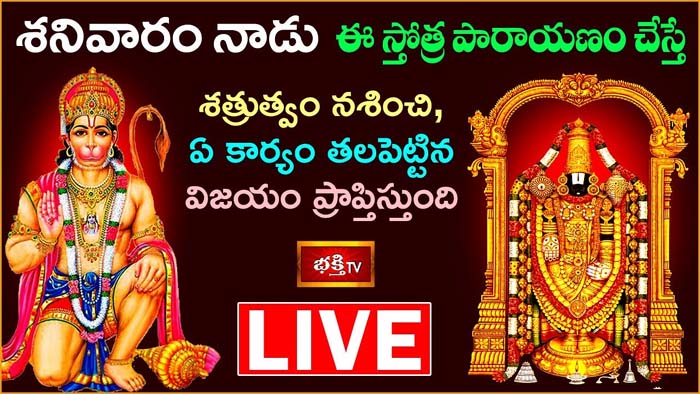 Saturday stotram: శనివారం ఈ స్తోత్రపారాయణం చేస్తే శత్రుత్వం నశించి విజయం ప్రాప్తిస్తుంది