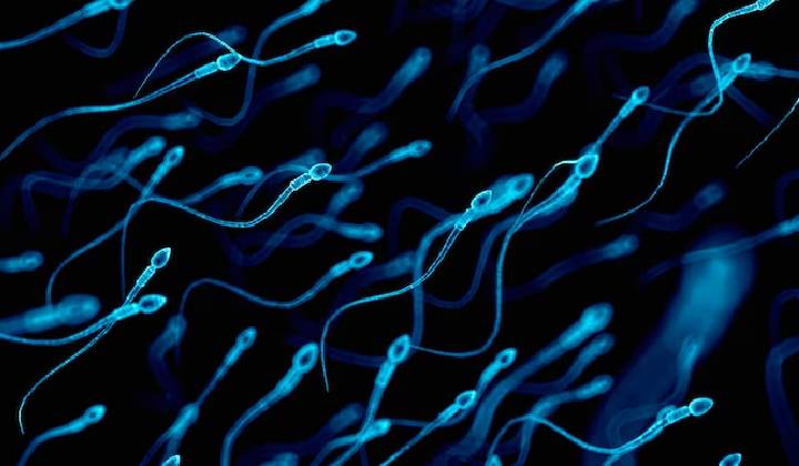 Sperm Health