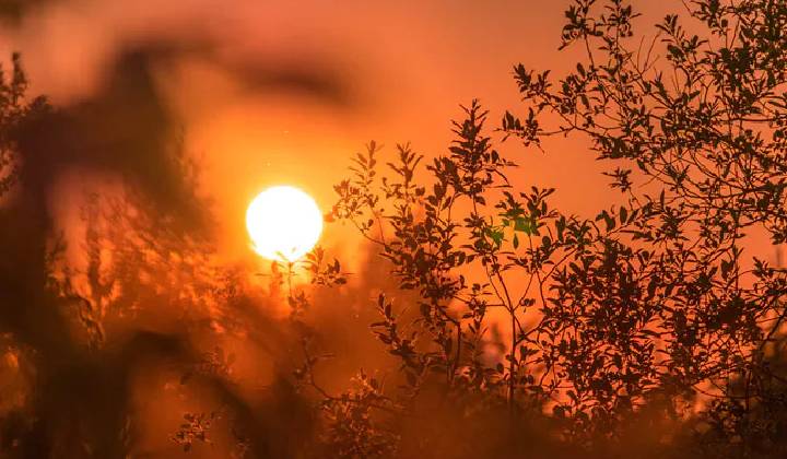 Rise In Temperature: రాబోయే ఐదు రోజుల్లో దంచికొట్టనున్న ఎండలు.. ఐఎండీ వార్నింగ్..