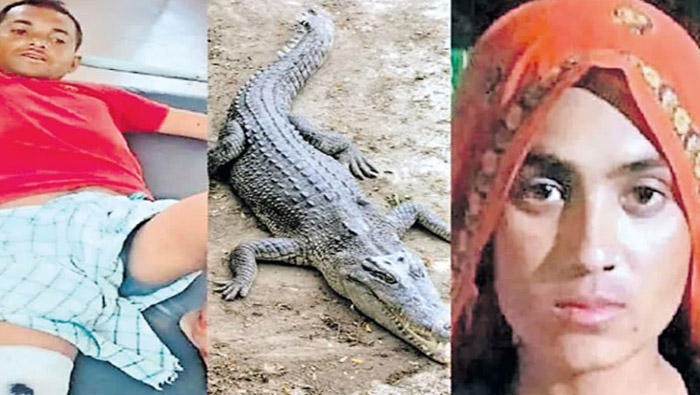 Viral : మొసలిపై దాడి చేసిన భార్య.. ప్రాణాలతో బయటపడ్డ భర్త..