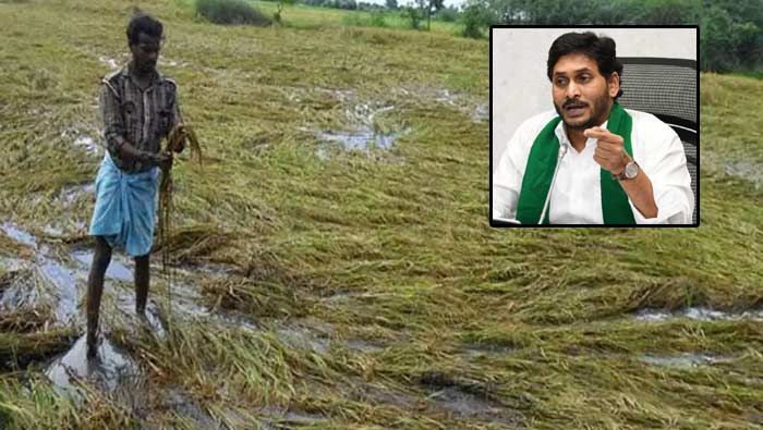 Andhra Pradesh: రైతులకు శుభవార్త.. ఆ డబ్బులు ఖాతాల్లో జమ..