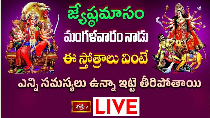 Durga stotram: ఈ స్తోత్రాలు వింటే ఎన్ని సమస్యల నుంచి బయటపతారు