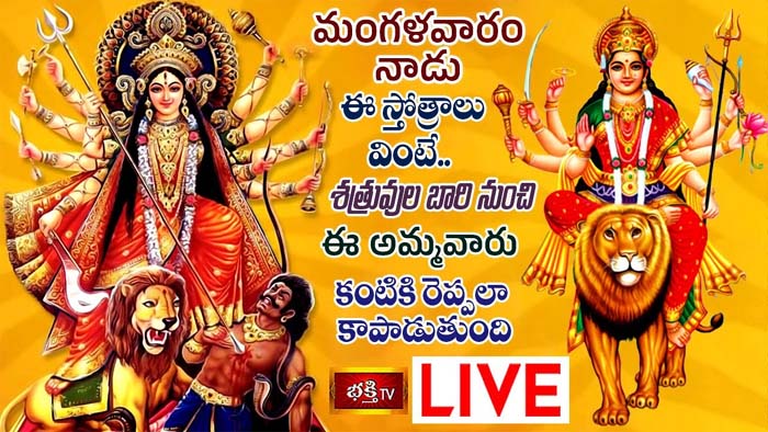 Durga stotra: శత్రువుల బాధలు తొలగాలంటే ఈ సోత్రం వినండి