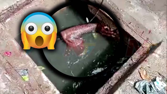 Manhole: మ్యాన్‌హోల్‌లో దిగి శుభ్రం చేసిన సిబ్బంది.. వరంగల్ మేయర్, కమిషనర్ సీరియస్‌