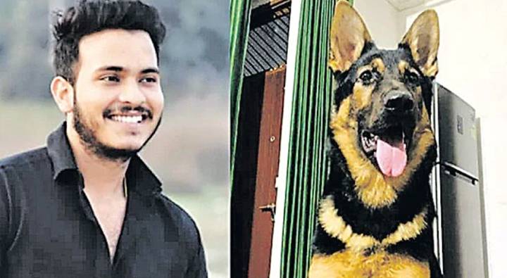 Dog : ఆత్మహత్య చేసుకున్న యజమానిని రక్షించేందుకు 4గంటలు పోరాడిన కుక్క