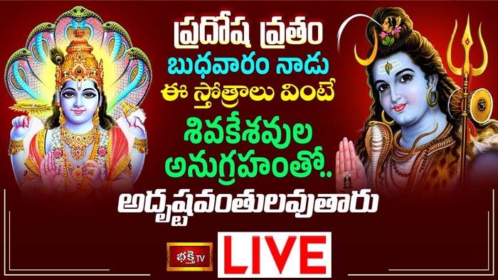 Pradosha Vratham: ప్రదోష వ్రతం నాడు ఈ స్తోత్రాలు వింటే శివకేశవుల అనుగ్రహం పొందుతారు