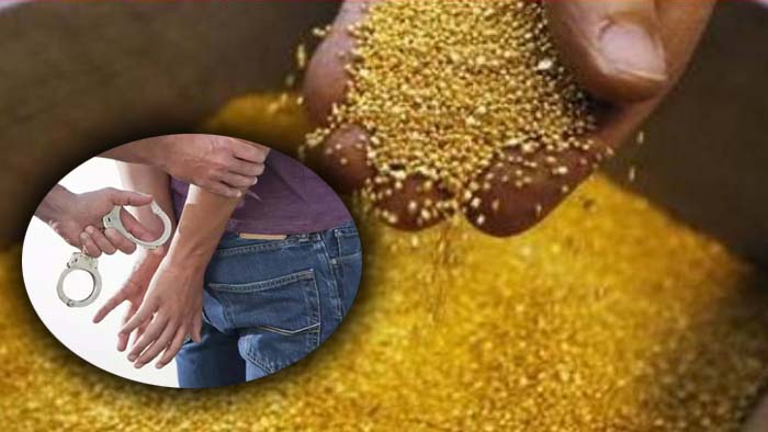 Gold seized: హైదరాబాద్ కు కిలోల కొద్దీ అక్రమ బంగారం.. కిలాడిని పట్టుకున్న కస్టమ్స్‌