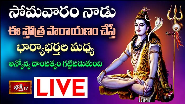 Shiva Stotra Parayanam: ఈ స్తోత్ర చేస్తే భార్యాభర్తల మధ్య అన్యోన్య దాంపత్యం