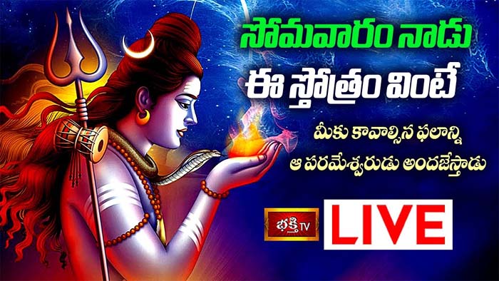 Lord Shiva stotra: ఈ స్తోత్రం వింటే ఆశించే ఫలం మీకు దక్కుతుంది