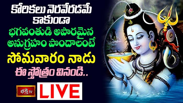 Shiva stotra: ఈ స్తోత్రం వింటే కోరికలు నెరవేరడమే కాదు భగవంతుడి అనుగ్రహం కలుగుతుంది