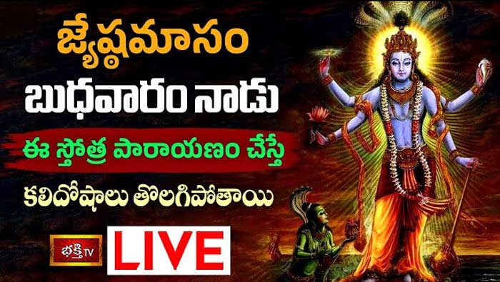 Sri Vishnu Sahasranama Stotra Parayanam: నేడు ఈ స్తోత్ర పారాయణం చేస్తే కలిదోషాలు తొలగిపోతాయి