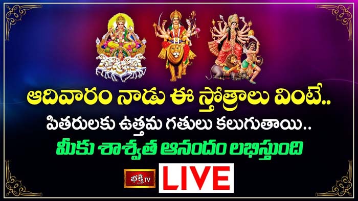 Surya Stotra: ఈ స్తోత్రాలు వింటే పితరులకు ఉత్తమ గతులు కలుగుతాయి