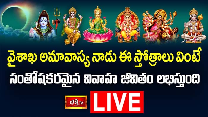 VaishakhaAmavasya: సంతోషమైన వివాహ జీవితం కోసం వైశాఖ అమావాస్య నాడు ఈ స్తోత్రం వినండి