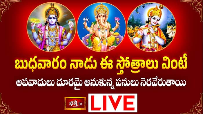 Vishnu Stotram: ఈ స్తోత్రాలు వింటే అపవాదులు దూరమై అనుకున్న పనులు నెరవేరుతాయి.