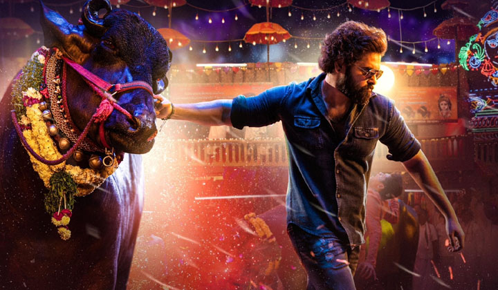 Boya Rapo: మే 15న ఊరమాస్ గ్లిమ్ప్స్ వస్తుంది రెడీగా ఉండండి ‘రాపో ఫాన్స్’…