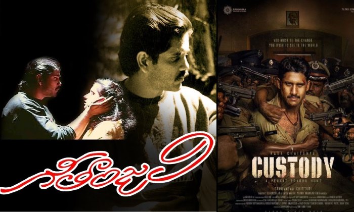 Akkineni: నాగార్జునకు అలా… నాగ చైతన్యకు ఇలా!