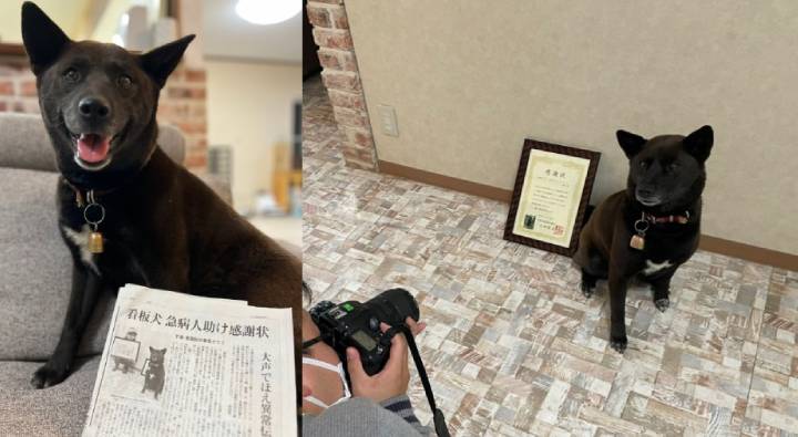 Dog : హార్ట్ పేషంట్ ను కాపాడిన కుక్క.. రివార్డ్ ప్రకటించిన అధికారులు